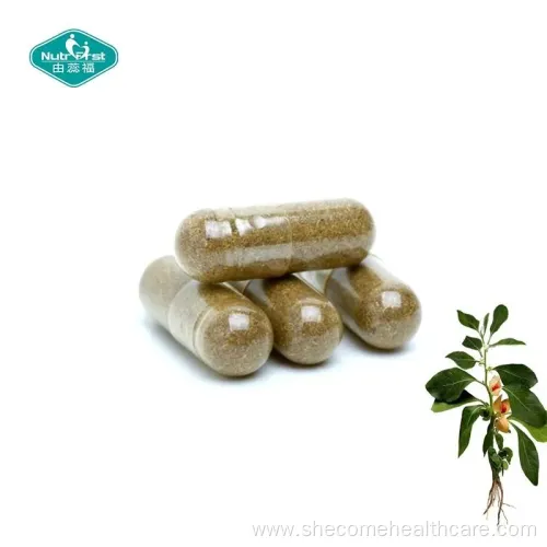 Energy Support Capsules: Ashwagandha, Turmeric & Ginger Extract Blend